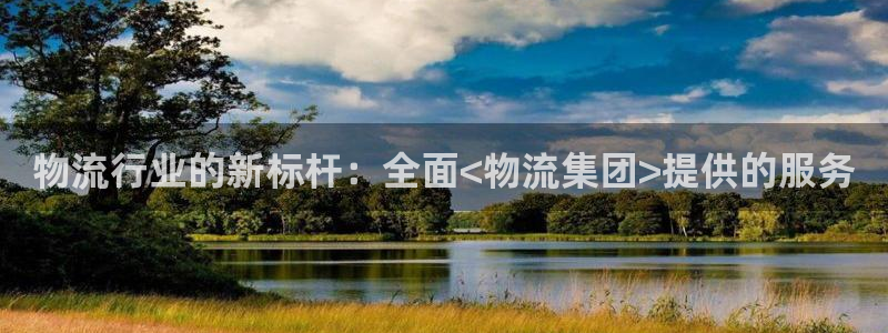 28圈图片：物流行业的新标杆：全面<