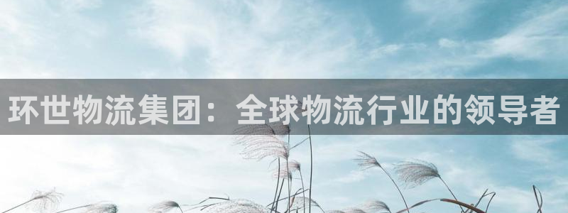 28圈机器人是什么软件：环世物流集团