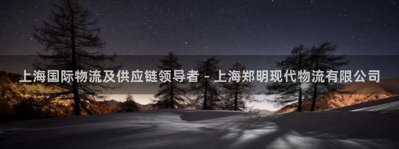 28圈反水怎么算：上海国际物流及供应
