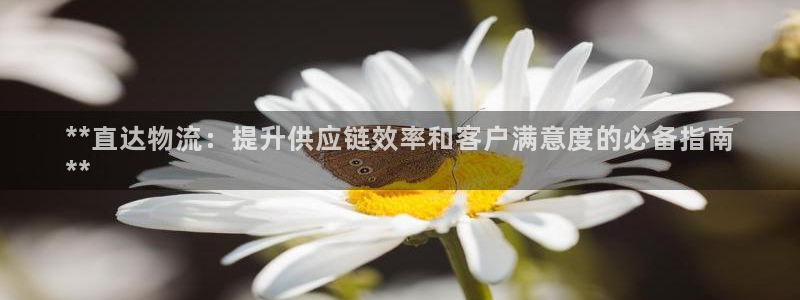 28圈注册网页：**直达物流：提升供