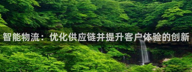 加拿大28圈注册链接：智能物流：优化