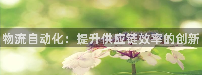 28圈官网版2024