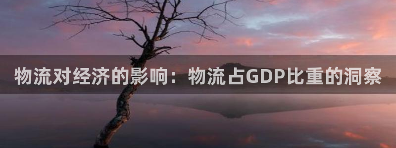 28圈注册地址：物流对经济的影响：物