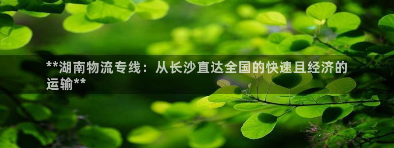28圈娱乐官网网页下载：**湖南物流