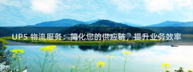28圈退款：UPS 物流服务：简化您