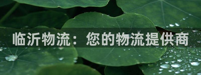 28圈能退款吗：临沂物流：您的物流提