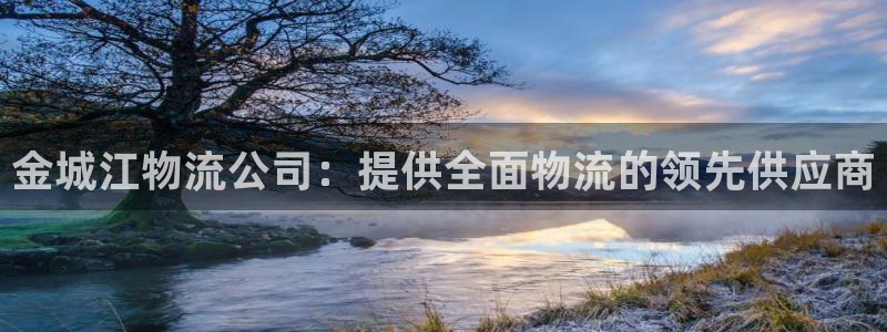 28圈注册网页：金城江物流公司：提供