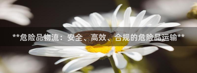 28圈反水怎么算