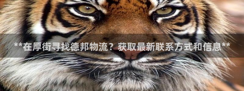 28圈充值为什么充不了：**在厚街寻