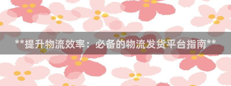 28圈加拿大怎么玩：**提升物流效率