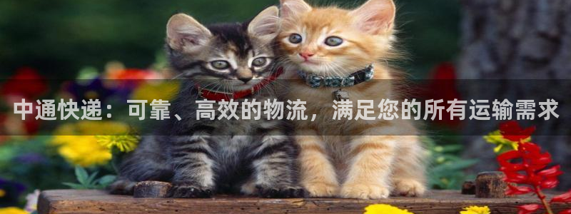 28圈官网开奖结果预测查询