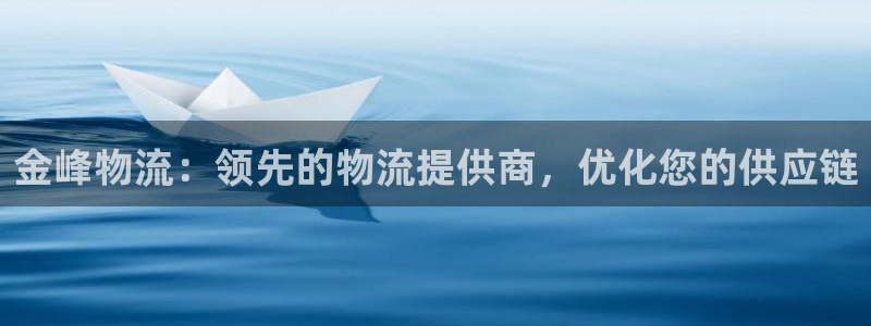28圈游戏最新版：金峰物流：领先的物