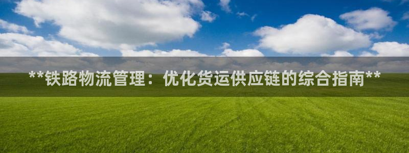 28圈链接是什么：**铁路物流管理：