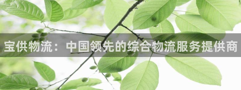 28圈官方平台