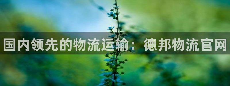 28圈麻将：国内领先的物流运输：德邦