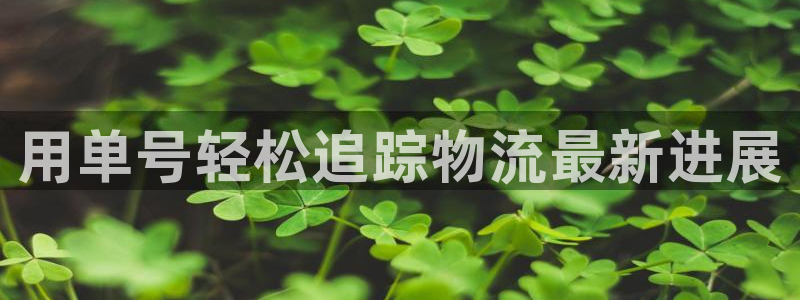 28圈忘记账号