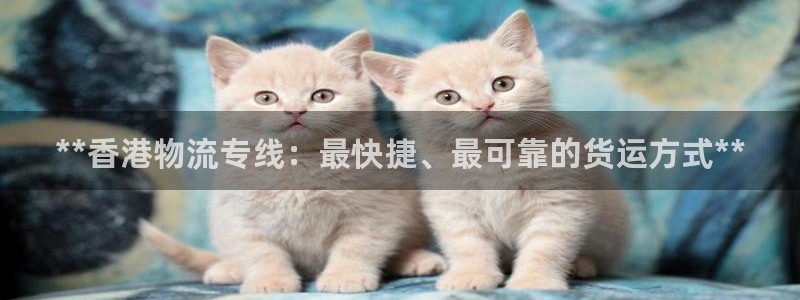 28圈初始资金密码是什么：**香港物