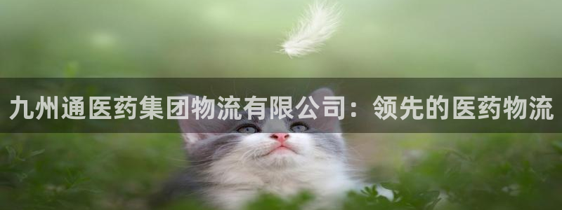 28圈官网平台：九州通医药集团物流有