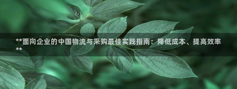 28圈免费：**面向企业的中国物流与