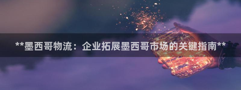 28圈龙虎：**墨西哥物流：企业拓展
