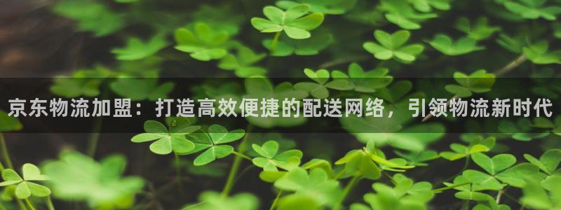28圈充值不到账怎么回事：京东物流加