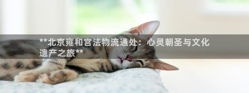 28圈软件总是闪退怎么回事：**北京