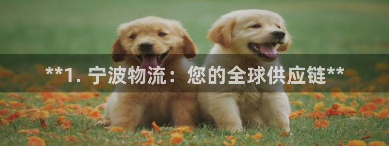 28圈软件总是闪退怎么回事