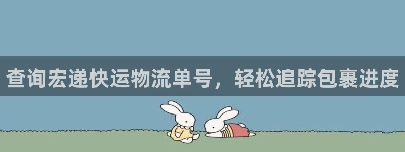 28圈怎么下载：查询宏递快运物流单号