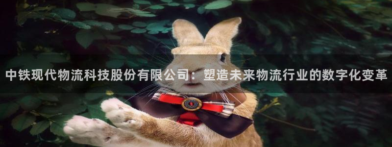 28圈ccm官网版：中铁现代物流科技