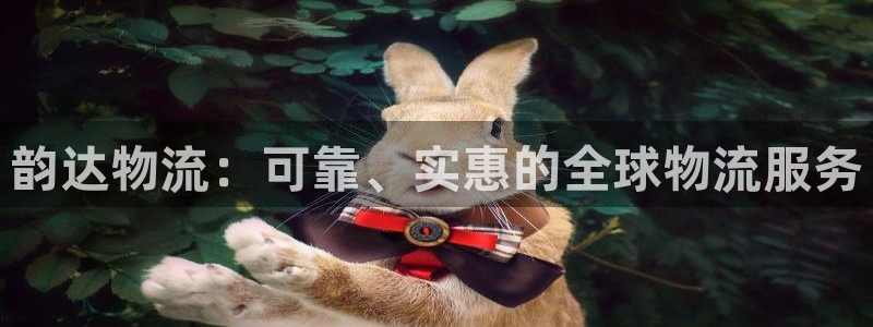 28圈是正规平台吗：韵达物流：可靠、