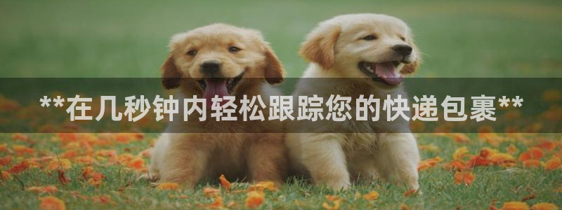 28圈官网多少：**在几秒钟内轻松跟