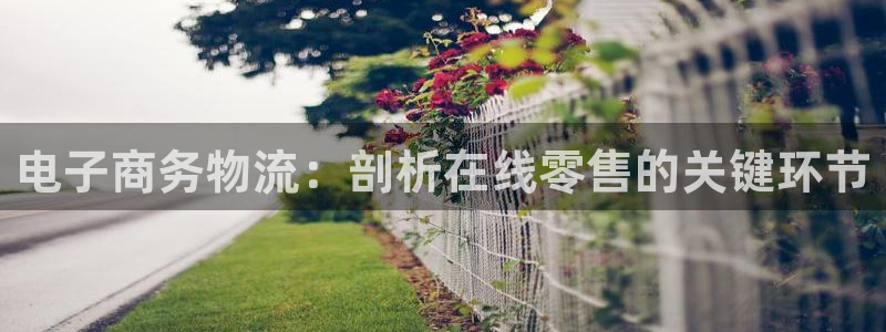 28圈加拿大2.8预测在线预测：电子