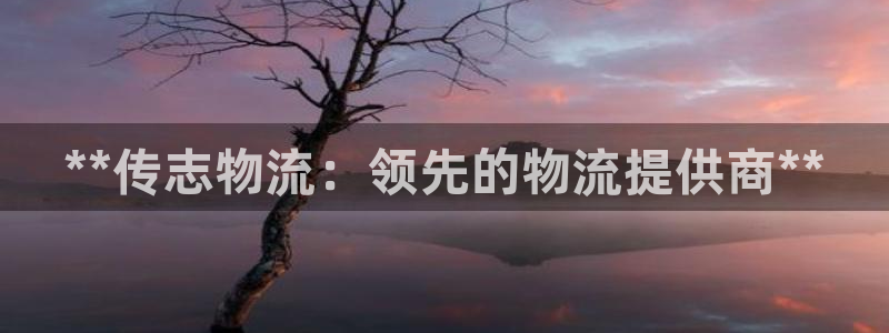 28圈加拿大是什么意思：**传志物流