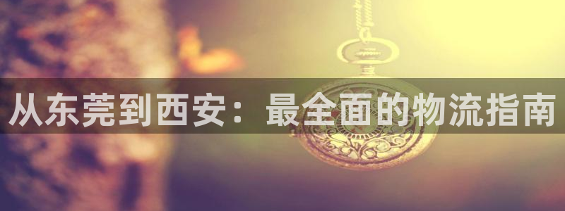 28圈合法吗：从东莞到西安：最全面的