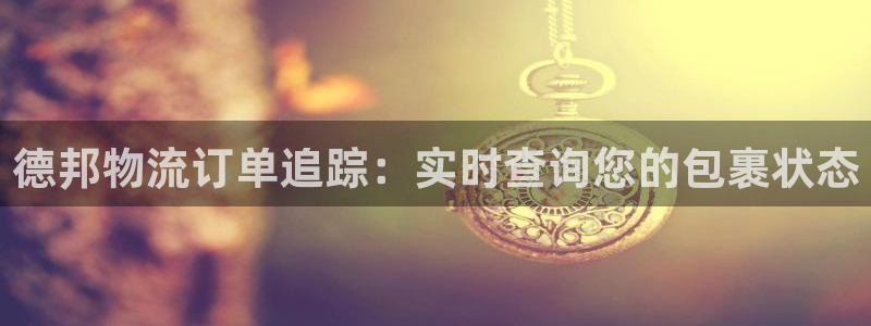 加拿大28圈注册链接：德邦物流订单追