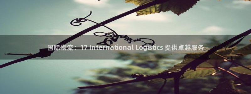 28圈哪个最赚钱：国际物流：17 I