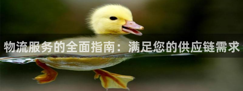 28圈官网链接：物流服务的全面指南：
