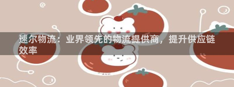 28圈电子：速尔物流：业界领先的物流