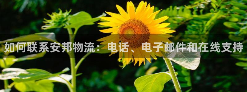 28圈辅助：如何联系安邦物流：电话、