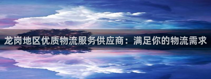 28圈模拟：龙岗地区优质物流服务供应