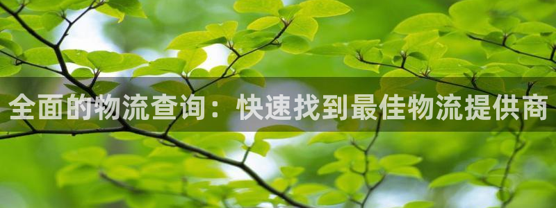 28圈正规吗?