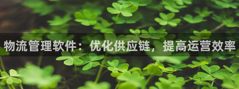 28圈注册登录链接：物流管理软件：优