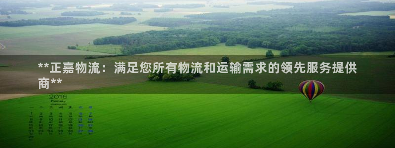 28圈.ccm正版：**正嘉物流：满