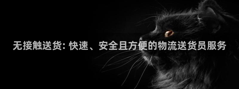 28圈.ccm南宫：无接触送货: 快