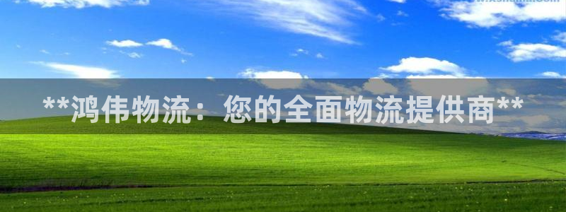 28圈官网注册：**鸿伟物流：您的全