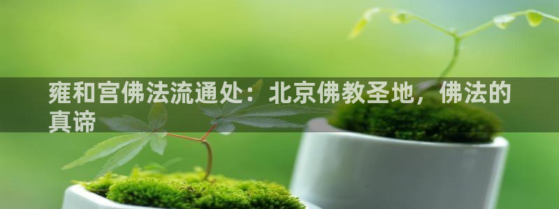 28圈比特28真实吗：雍和宫佛法流通