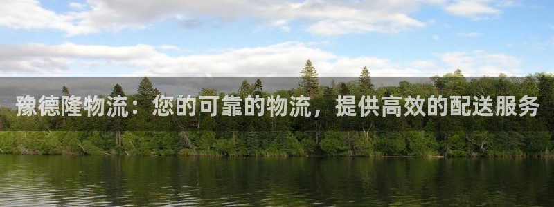 28圈电子游戏：豫德隆物流：您的可靠
