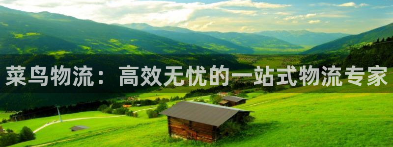 28圈开奖预测：菜鸟物流：高效无忧的