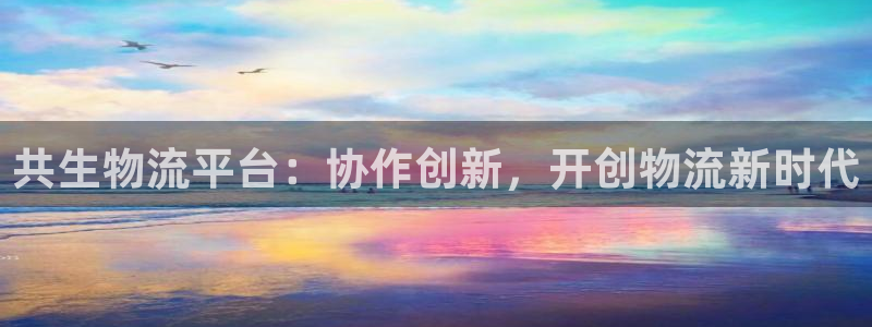 28圈娱乐官网网页入口：共生物流平台