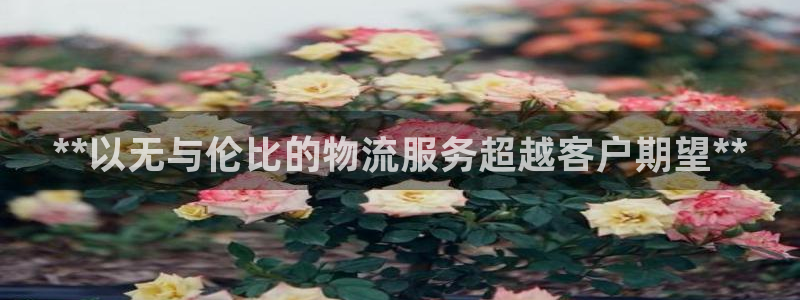 28圈可以退款吗：**以无与伦比的物
